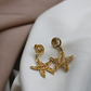 ARETES ESTRELLA DE MAR