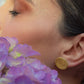 ARETES SOL