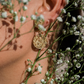 ARETES YING