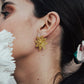 ARETES NOCHEBUENA